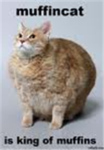 Muffin Cat Clan