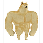 안녕하세요 하하하하 쿠