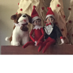 The elf on the shelf