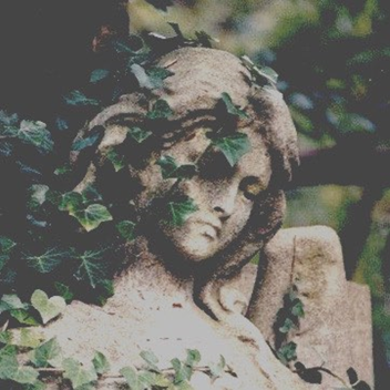 𝐻𝒶𝓅𝓅𝓎 𝒫𝓁𝒶𝒸𝑒