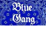 Blue gamer army gang