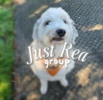 Just Rea Group Thumbnail