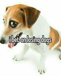 DOGGY MAN HATE CLUB!