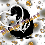 Black Foxes Majorette