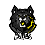 Dallas Wolves Football