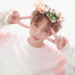 Kpop squirrel