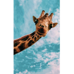 dancing giraffes animals