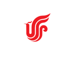 Air china | 中国国际航空