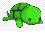 Turtle09
