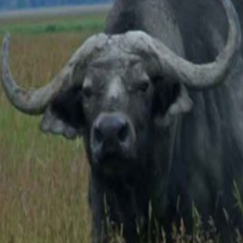 THE WORST GAME EVER!