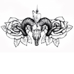 HOA;; House of Assassins