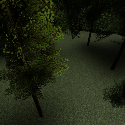 Northwood Forest