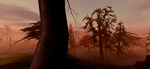 The Group Lore