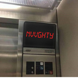 nvvghty homestore
