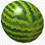 Watermelon_eating_yum