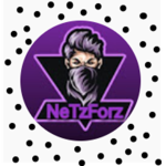 Team Oficcial NeTzForz