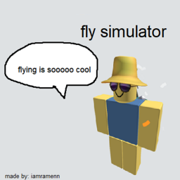 Fly Simulator