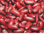 BEANSBEANSBEANSBEANSBEANSBEANSBEANS