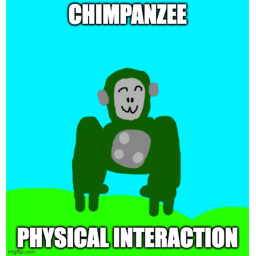 chimpanzee physical interaction (Description)