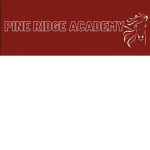 -Willow Tree Horse Academy-