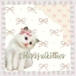 blissfulkitties homestore🎀
