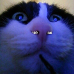 RobloxAdoptMe