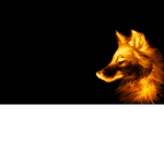 GoldK9