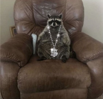Thug Waffle