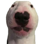 momomomomomomo