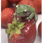 ᴛʜᴇ ғᴀᴍɪʟʏ ᴀɴᴅ ғʀɪᴇɴᴅs ɢʀᴏᴜᴘ!