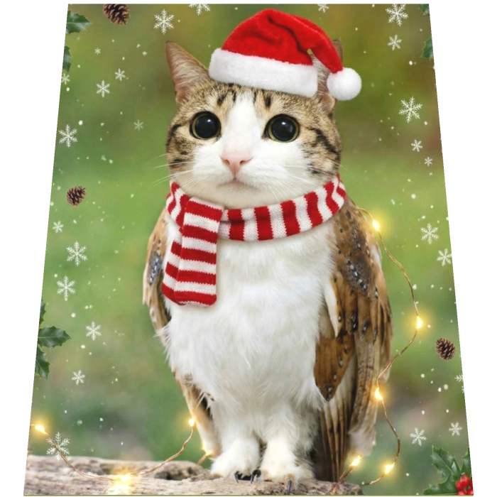 Meme Meowl Christmas Cape
