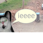 Hey u guys NO MORE BROOK