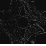 AXI5