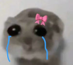 - Bubble Tea's group -