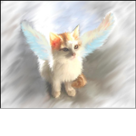 Cute Kitty Angels