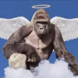 Rest In Piece Harambe icon