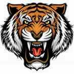 Tiger Boys