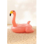 fun flamingosss