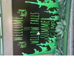Willow falls summer camp! -