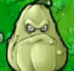 thekabachok