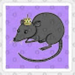 My beautiful rat kingdom!