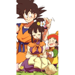 Dragon ball family and friends