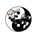 ninja's of ying yang