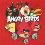 Angry Birds Of Roblox!