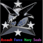 Assult Force Navy Seals Airforce