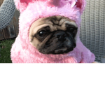Pink UniPug Fans
