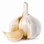 Garlic soup gang