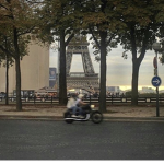 -petals!-