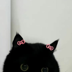 meow...?