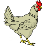 AHH BIRDS ARE COOL